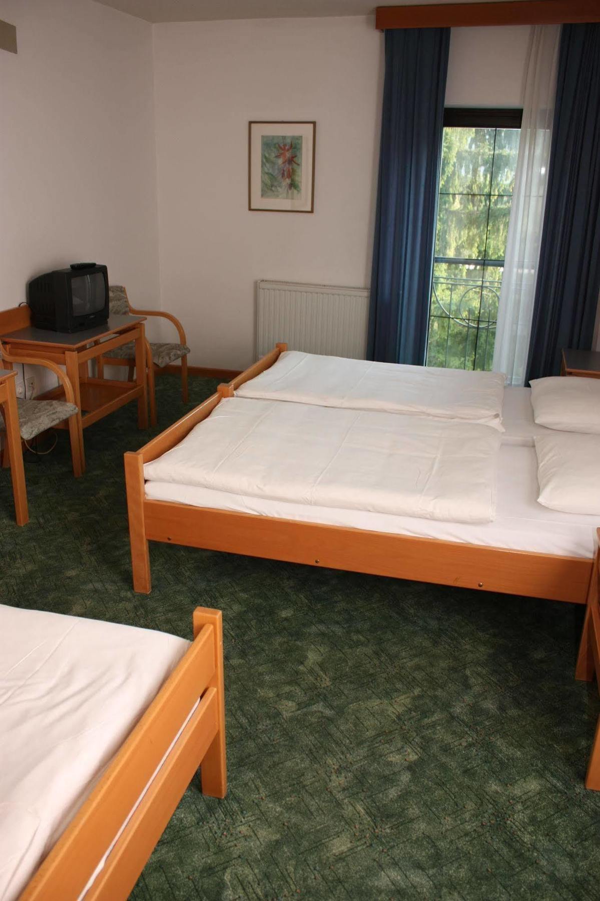 Alp Hotel 3*